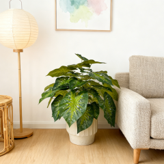 Custom Design Premium Faux Potted Alocasia Plants,Custom Design Premium Faux Potted Alocasia Plants