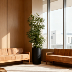 Bespoke Modern Design False Aralia Potted Plants,Bespoke Modern Design False Aralia Potted Plants