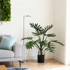 Custom Design Premium Faux Philodendron Potted Plants,Custom Design Premium Faux Philodendron Potted Plants