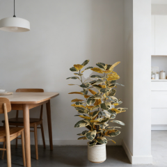 110CM&150CM&175CM RUBBER TREE,110CM (3') 150CM (5')175CM (5.7')  ARTIFICIAL RUBBER TREE -- Chinese suppliers