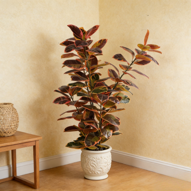 110CM&150CM&175CM RUBBER TREE,110CM (3') 150CM (5')175CM (5.7')  ARTIFICIAL RUBBER TREE -- Chinese suppliers