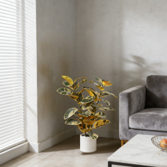 110CM&150CM&175CM RUBBER TREE,110CM (3') 150CM (5')175CM (5.7')  ARTIFICIAL RUBBER TREE -- Chinese suppliers