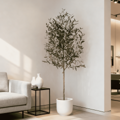 180CM-300CM ARTIFICIAL OLIVE TREES in NATURAL TRUNKS,Wholesale 180-300cm(6'-10') Natural Trunk Artificial Olive Trees | Modern Art Decor for Café & Bar | Chinese Supplier
