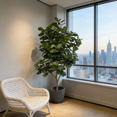 Realistic Faux Fiddle Leaf Fig Tree with Natural Trunks,Realistic Faux Fiddle Leaf Fig Tree with Natural Trunks