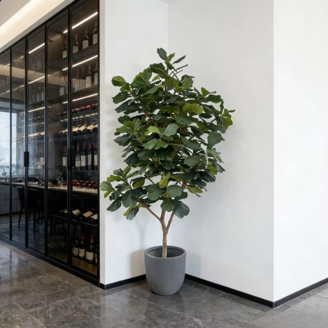 Realistic Faux Fiddle Leaf Fig Tree with Natural Trunks,Realistic Faux Fiddle Leaf Fig Tree with Natural Trunks