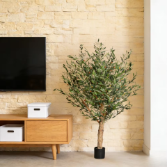 45CM-170CM Olive Trees with Natural Trunks,45CM-170CM Olive Trees with Natural Trunks