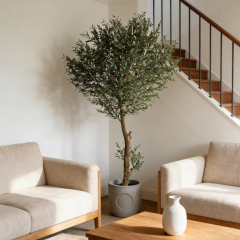 350CM Big Olive Tree with Natural Trunks,350CM Big Olive Tree with Natural Trunks