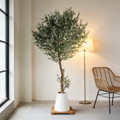 350CM Big Olive Tree with Natural Trunks,350CM Big Olive Tree with Natural Trunks