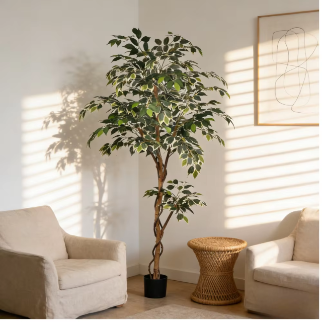 180CM Ficus Trees with Natural Trunks,180CM Ficus Trees with Natural Trunks