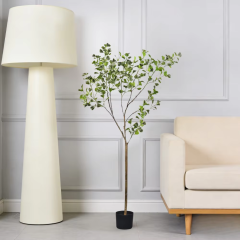 160CM Variegated Ficus Tree,160CM Variegated Ficus Tree