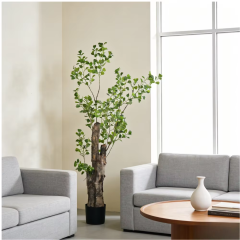 180CM Ficus Tree with Natural Trunk,180CM Ficus Tree with Natural Trunk