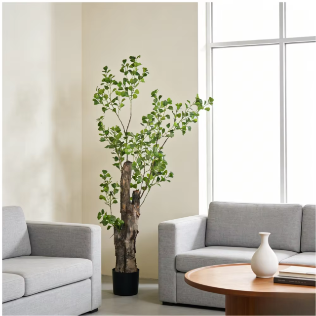180CM Ficus Tree with Natural Trunk,180CM Ficus Tree with Natural Trunk