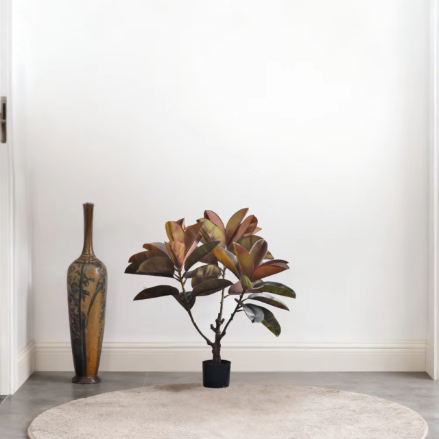 75CM 100CM RUBBER TREE,75CM 100CM RUBBER TREE