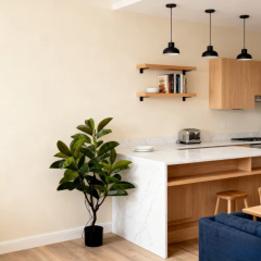 RUBBER TREE,RUBBER TREE