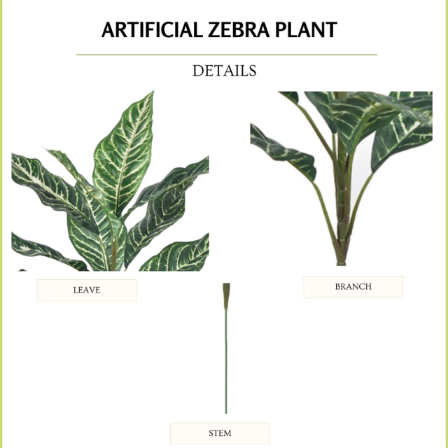 60CM 10 Leaves Faux Zebra Plant,60CM 10 Leaves Faux Zebra Plant