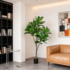 120CM-185CM Artificial Elaeocarpus Trees,Wholesale High Quality 126CM (4') - 185CM (6') Artificial Elaeocarpus Trees - Natural Green Look, Chinese Suppliers