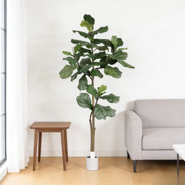 ARTIFICIAL FIDDLE LEAF FIG TREE in PLASTIC WHITE POT 120CM-180CM,120CM(4') 150CM(5') 180CM(6') ARTIFICIAL FIDDLE LEAF FIG TREE -- Chinese suppliers