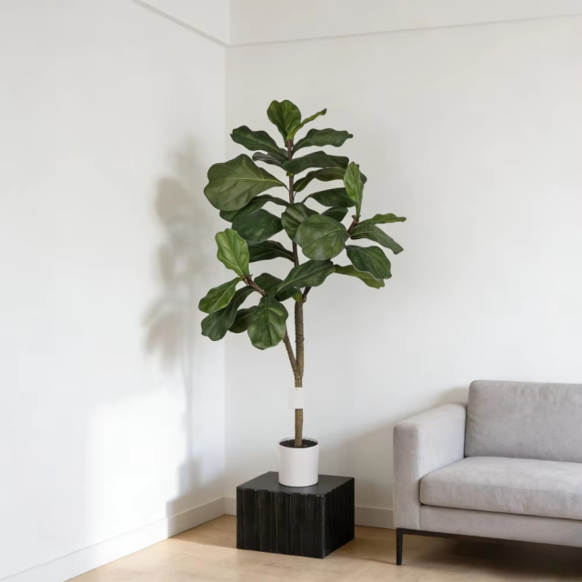 ARTIFICIAL FIDDLE LEAF FIG TREE in PLASTIC WHITE POT 120CM-180CM,120CM(4') 150CM(5') 180CM(6') ARTIFICIAL FIDDLE LEAF FIG TREE -- Chinese suppliers