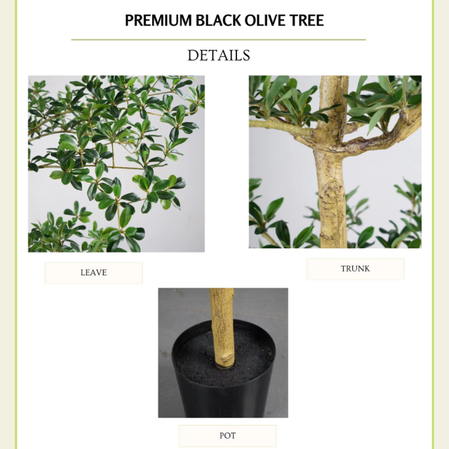 PREMIUM FAUX SHADY LADY BLACK OLIVE TREES,180CM(6') 210CM(7') 240CM(8') 290CM(9') PREMIUM -- Chinese suppliers FAUX SHADY LADY BLACK OLIVE TREES
