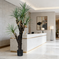 180CM 5-Headed Faux Potted Yucca Tree,180CM 5-Headed Faux Potted Yucca Tree