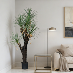 180CM 5-Headed Faux Potted Yucca Tree,180CM 5-Headed Faux Potted Yucca Tree