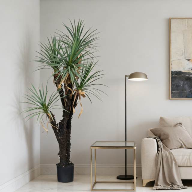 180CM 5-Headed Faux Potted Yucca Tree,180CM 5-Headed Faux Potted Yucca Tree