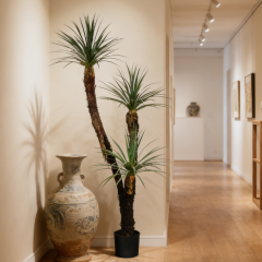 180CM 3 Branches Faux Potted Yucca Tree,180CM 3 Branches Faux Potted Yucca Tree