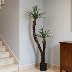 183CM Realisitc Faux Potted Yucca Tree,183CM Realisitc Faux Potted Yucca Tree