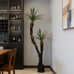 183CM Realisitc Faux Potted Yucca Tree,183CM Realisitc Faux Potted Yucca Tree