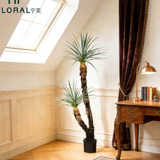156CM Artificial Potted Yucca Tree,156CM Artificial Potted Yucca Tree