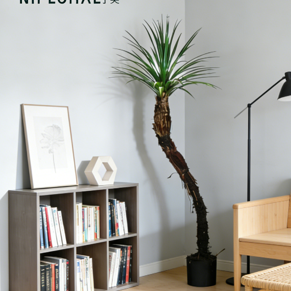 117CM Faux Yucca Potted Plant,117CM Faux Yucca Potted Plant