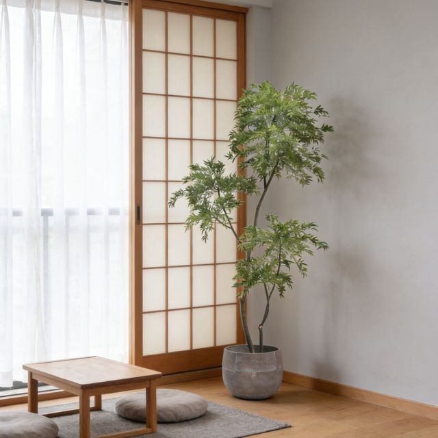 Custom Design 215CM Evergreen Faux Polyscias Potted Tree in Real Wood Trunks,Custom Design 215CM Evergreen Faux Polyscias Potted Tree in Real Wood Trunks