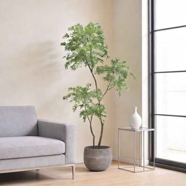 Custom Design 215CM Evergreen Faux Polyscias Potted Tree in Real Wood Trunks,Custom Design 215CM Evergreen Faux Polyscias Potted Tree in Real Wood Trunks