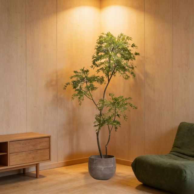 Custom Design 215CM Evergreen Faux Polyscias Potted Tree in Real Wood Trunks,Custom Design 215CM Evergreen Faux Polyscias Potted Tree in Real Wood Trunks