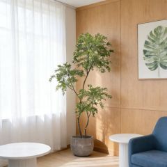 Custom Design 215CM Evergreen Faux Polyscias Potted Tree in Real Wood Trunks,Custom Design 215CM Evergreen Faux Polyscias Potted Tree in Real Wood Trunks