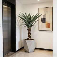 High Simulated Indoor Decor Artificial Agave Plants in Plastic Black Pot,High Simulated Indoor Decor Artificial Agave Plants in Plastic Black Pot