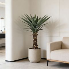 High Simulated Indoor Decor Artificial Agave Plants in Plastic Black Pot,High Simulated Indoor Decor Artificial Agave Plants in Plastic Black Pot