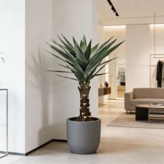 High Simulated Indoor Decor Artificial Agave Plants in Plastic Black Pot,High Simulated Indoor Decor Artificial Agave Plants in Plastic Black Pot