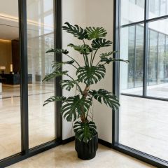 Custom Design 200CM Highly Realistic Faux Monstera Plant in Natural Trunks,Custom Design 200CM Highly Realistic Faux Monstera Plant in Natural Trunks