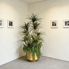 Custom Luxury Design 200CM Faux Greenery Plants Arrangement in Metal Pot,Custom Luxury Design 200CM Faux Greenery Plants Arrangement in Metal Pot