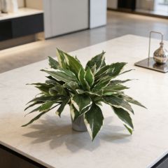 Small Size Faux Greenery Bonsai Plants Table Decor Potted Plant,Small Size Faux Greenery Bonsai Plants Table Decor Potted Plant