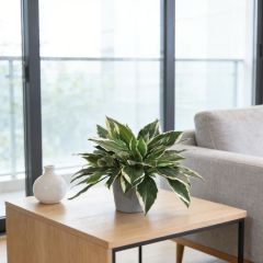 Small Size Faux Greenery Bonsai Plants Table Decor Potted Plant,Small Size Faux Greenery Bonsai Plants Table Decor Potted Plant