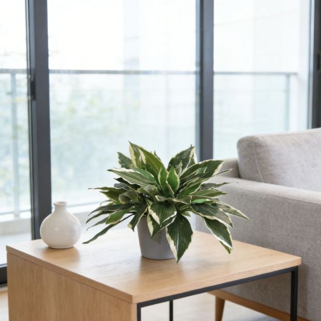 Small Size Faux Greenery Bonsai Plants Table Decor Potted Plant,Small Size Faux Greenery Bonsai Plants Table Decor Potted Plant