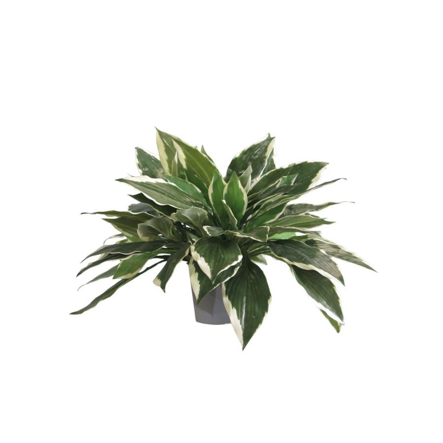 Small Size Faux Greenery Bonsai Plants Table Decor Potted Plant,Small Size Faux Greenery Bonsai Plants Table Decor Potted Plant