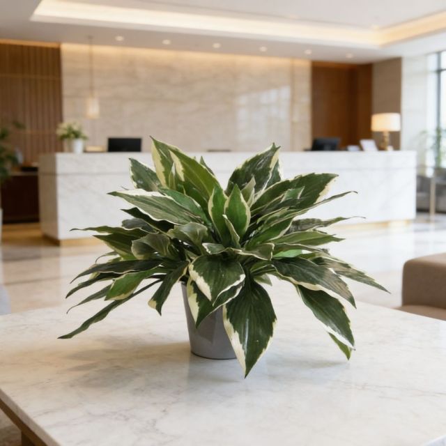 Small Size Faux Greenery Bonsai Plants Table Decor Potted Plant,Small Size Faux Greenery Bonsai Plants Table Decor Potted Plant