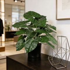 Custom Design Table Decor Plant Faux Alocasia Potted Plants,Custom Design Table Decor Plant Faux Alocasia Potted Plants