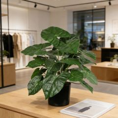 Custom Design Table Decor Plant Faux Alocasia Potted Plants,Custom Design Table Decor Plant Faux Alocasia Potted Plants