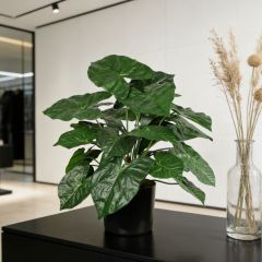 Custom Design Table Decor Plant Faux Alocasia Potted Plants,Custom Design Table Decor Plant Faux Alocasia Potted Plants