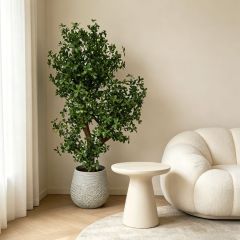 Custom Design Realistic Evergreen Interior Decor Big Green Tree in Cement Pot,Custom Design Realistic Evergreen Interior Decor Big Green Tree in Cement Pot