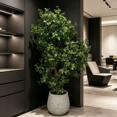Custom Design Realistic Evergreen Interior Decor Big Green Tree in Cement Pot,Custom Design Realistic Evergreen Interior Decor Big Green Tree in Cement Pot